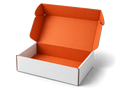 Custom mailer box